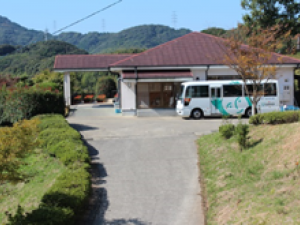 warabi01